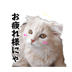 ebi_20250327044250