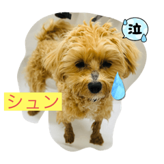 momo_20250327123041