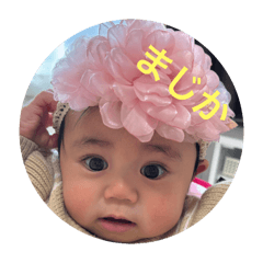 minichanp5