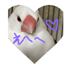 iroha_20250327082802