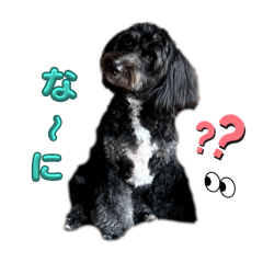 mm_20250327101135