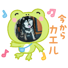ruru_2025