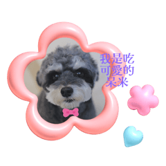 我是呆米。3月27日我生日
