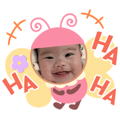 小肉肉淇淇