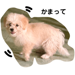 yumi_20250327104812