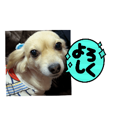 Chacha_20250327113853