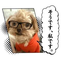 Sato_20250327094415
