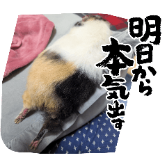 mokumoku_20250327140901