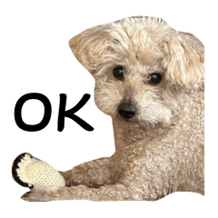 leo_20250327152503