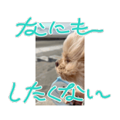 Sato_20250327160632