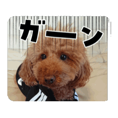 kumi_20250327143755