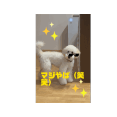 misa_20250327175116