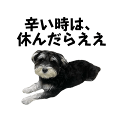 vivi_20250327170824
