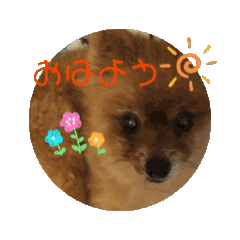 honoka_20250327173541