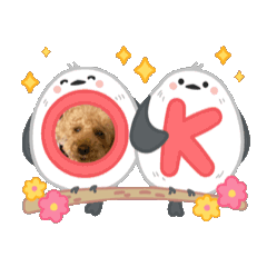 junjun_20250327200829