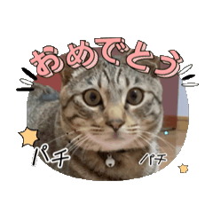 meimei_20250327213929