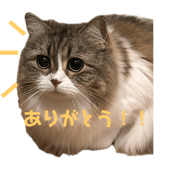Sato_20250327173648