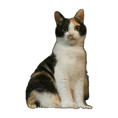 Pom_worldcat