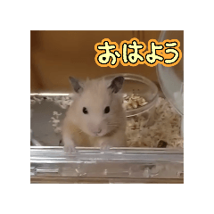 nono_20250327160337