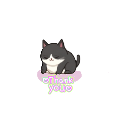 Toddy the cat