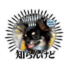 mika_20250328004002