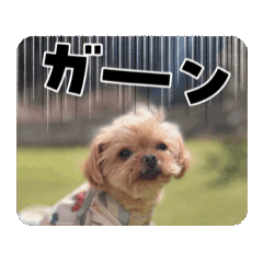 Sato_20250328090032
