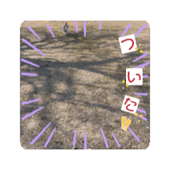 emi_20250328031846
