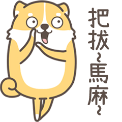 柴犬奴醬 41 - 我是撒嬌王