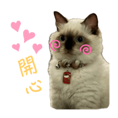 小麵包包包