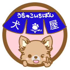 INUYAutinokoitiban(chihuahua)1