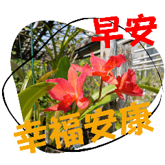 生活組_早安頌I_08