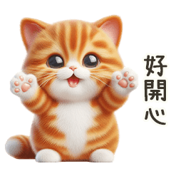可愛的橘貓萌萌的
