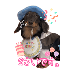Akane_20250327160708