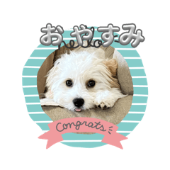 nori_20250327195613