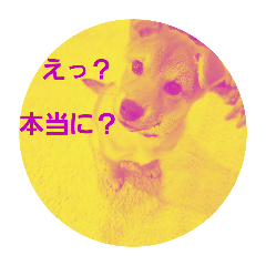 miho_20250327214153