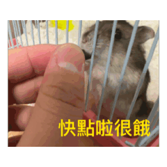 肉圓嘟貼貼