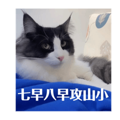 糰糰的糰