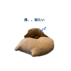 saya_20250327162840