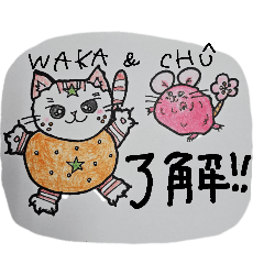 Anko_20250327171819