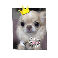 ayu_2025032720223