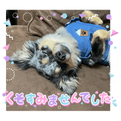 anko_20250327224142