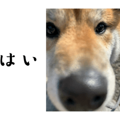Karin_20250327212944