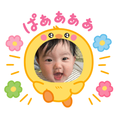 miho_20250327223749