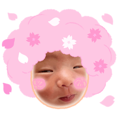 aki_20250328003541