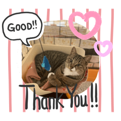 Emuri_20250327185226