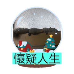 武則天松鼠寶貝