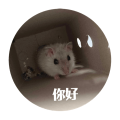 鼠寶貝@