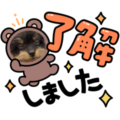 sky_20250328010107