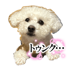 KOTETSU_20250328005956