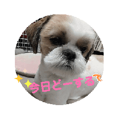 aya_20250328133441